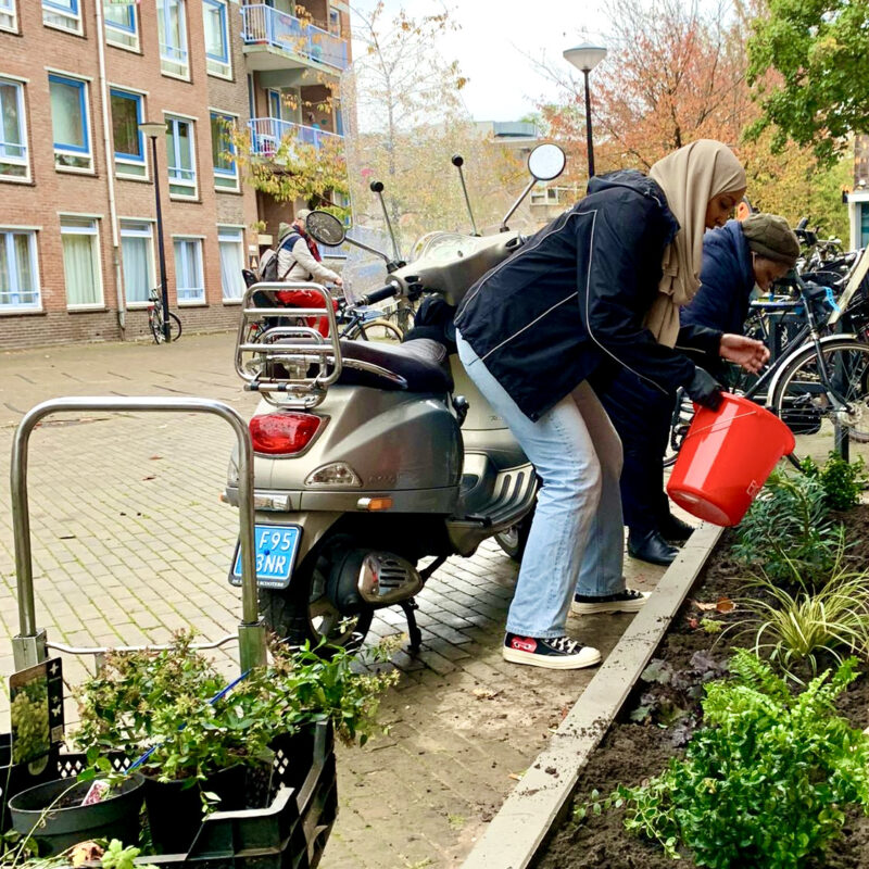 Vrijwilligers van Eigen Haard leggen geveltuin aan Amsterdam Weerproof