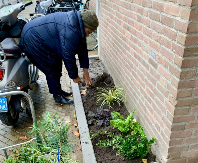 Vrouw legt geveltuin aan bij woning van Eigen Haard Amsterdam Weerproof