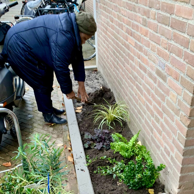 Vrouw legt geveltuin aan bij woning van Eigen Haard Amsterdam Weerproof