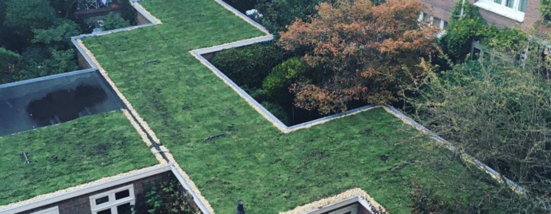 Groen dak opschuren in binnentuin in Amsterdam Weerproof