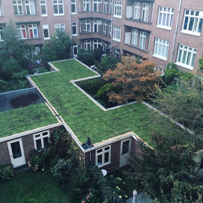 Groen dak opschuren in binnentuin in Amsterdam Weerproof