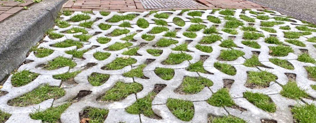 Groene parkeervakken met gras en halfverharding Amsterdam Weerproof