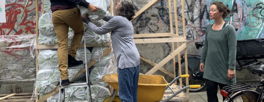 Aanleg van groene daken in De Pijp Amsterdam Weerproof