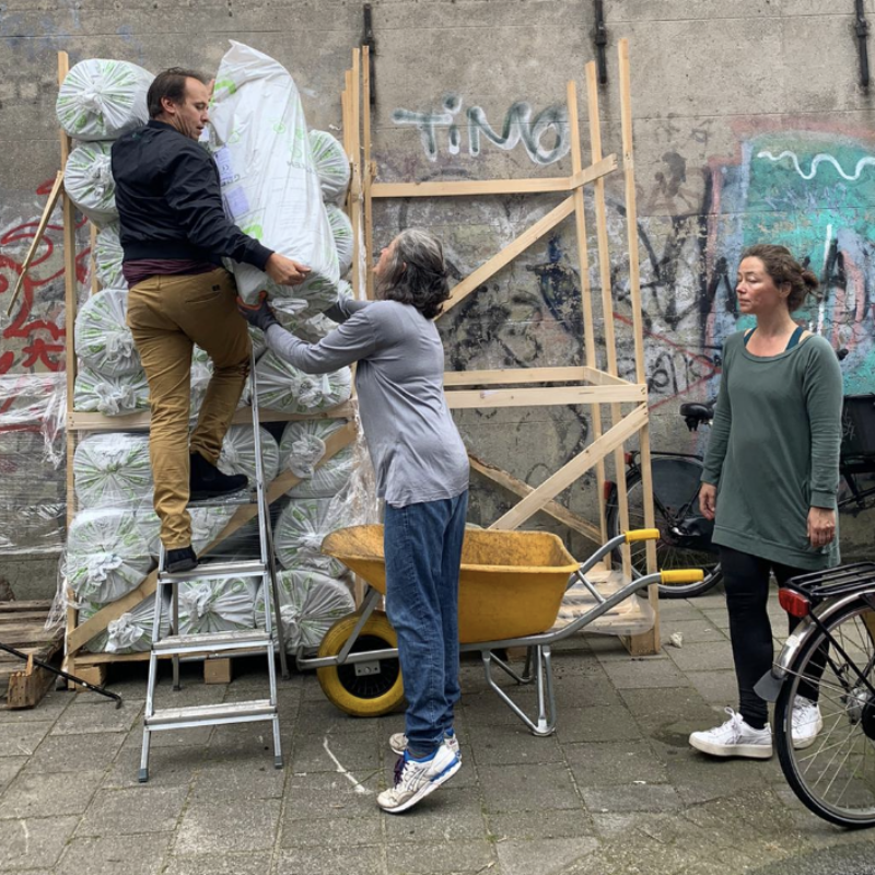 Aanleg van groene daken in De Pijp Amsterdam Weerproof