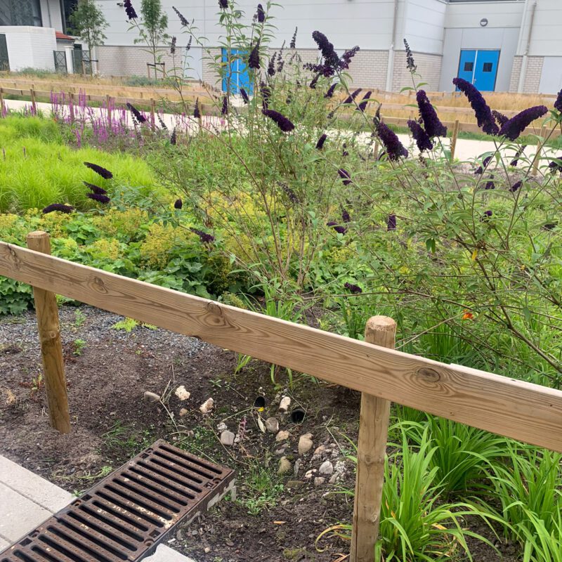 Kortvoort Mi Oso voortuin Amsterdam Weerproof