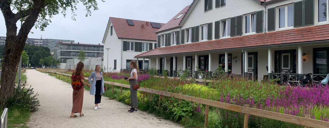 Kortvoort Mi Oso voortuin Amsterdam Weerproof