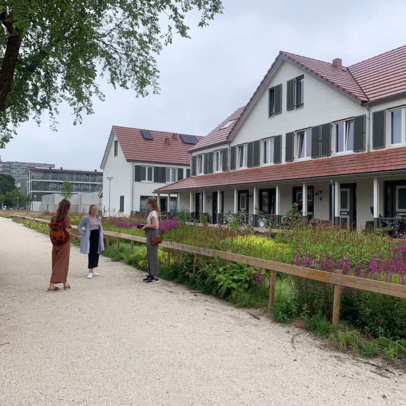 Kortvoort Mi Oso voortuin Amsterdam Weerproof