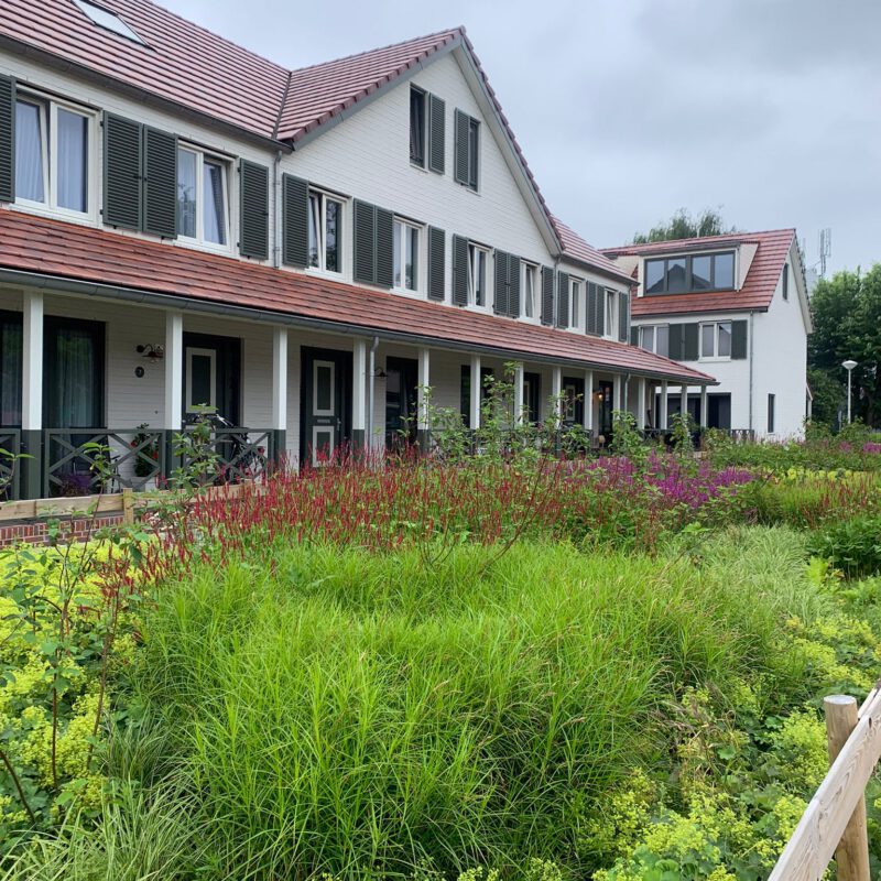 Kortvoort Mi Oso voortuin Amsterdam Weerproof