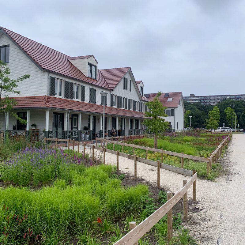 Kortvoort Mi Oso voortuin Amsterdam Weerproof