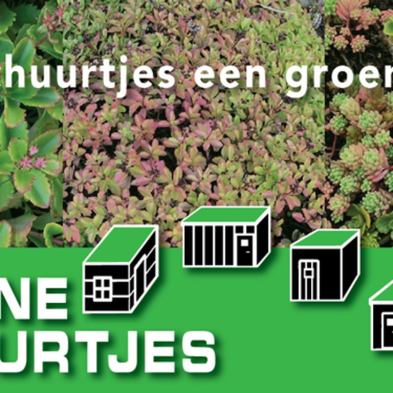 Groene daken op schuurtjes Groen Amsterdam Weerproof