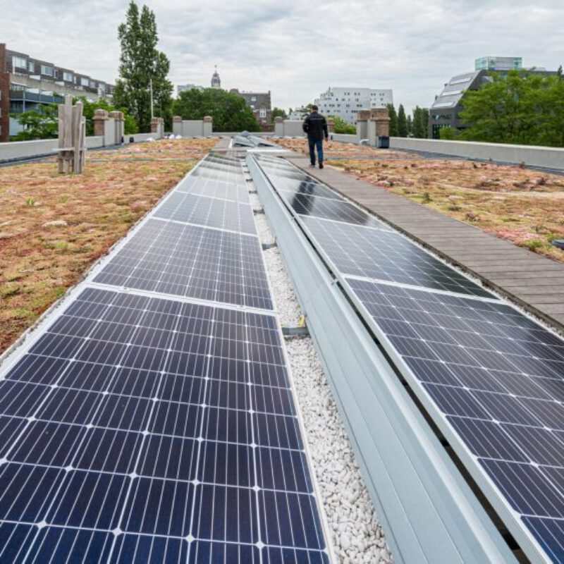 Groenblauw dak op gemeentelijk vastgoed met zonnepanelen Amsterdam Weerproof