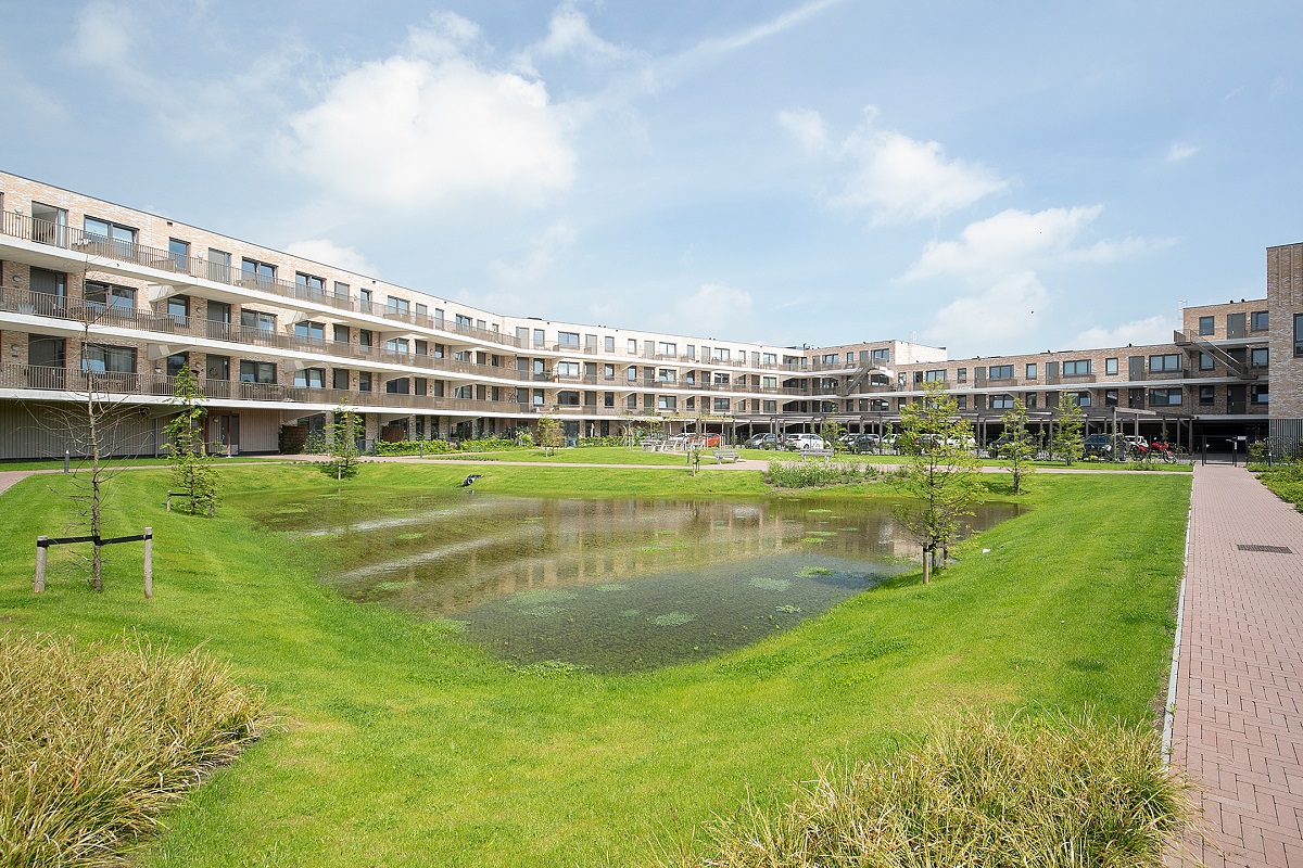 Wadi in binnentuin nieuwhuizen van Vesteda met kleine bomen Amsterdam Weerproof