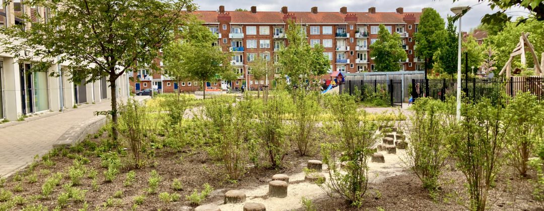 Plein Jacob Geelbuurt met bomen, struiken, kronkelpaadjes en zitbankjes Amsterdam Weerproof
