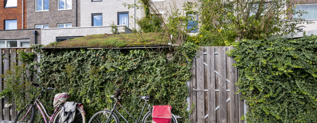 Schutting met fietsen en schuur met groen dak Amsterdam Weerproof