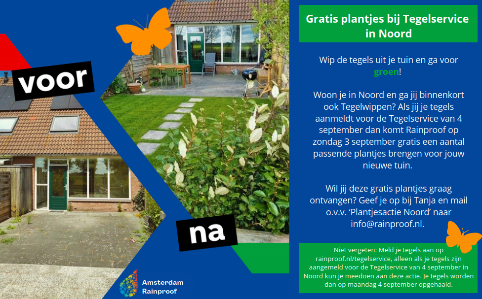 Plantjes actie, 3 september, tegelservice, noord 