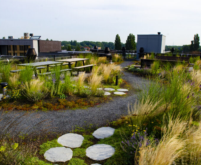 Groen dak met pad en bankjes bij het gratis dakadvies van Amsterdam Weerproof