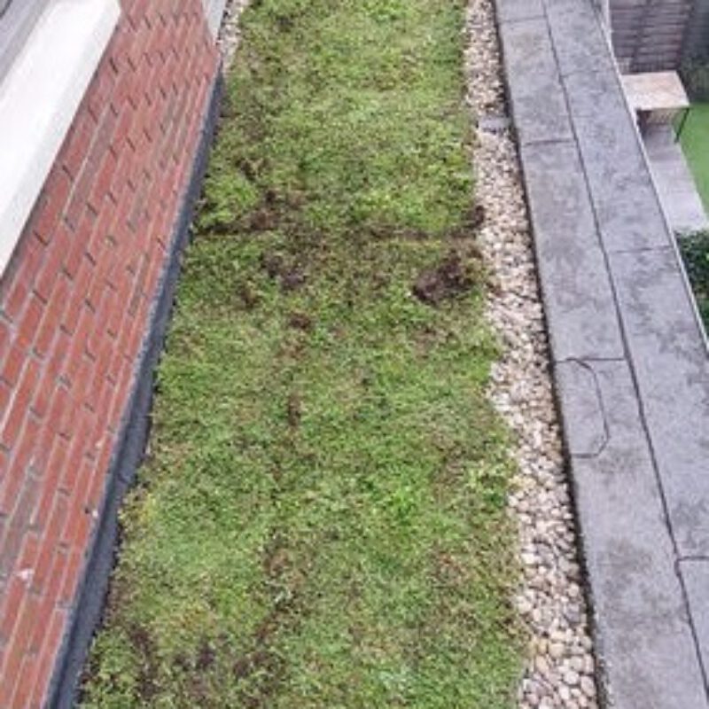 Groen balkon aangelegd door de Groendakspecialist