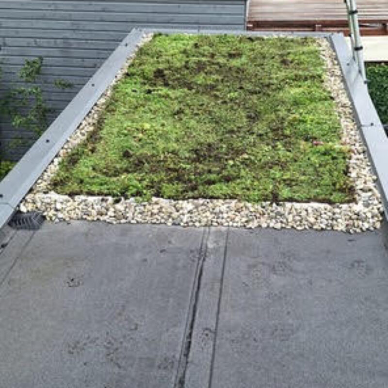 Groendak aangelegd op een garage door de Groendakspecialist