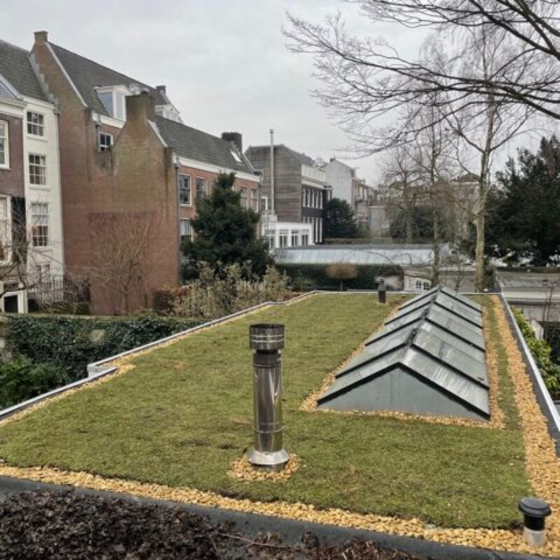 Groen dak op het tuinhuis op de Herengracht door de Groendakspecialist