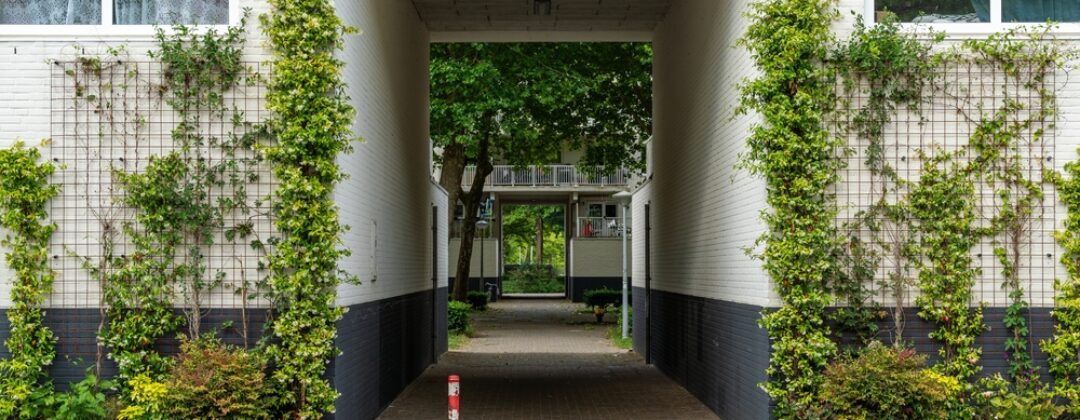 groene gevel zuidoost