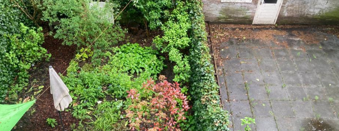 Onttegelde groene tuin vol planen naast betegelde tuin met kunstgras