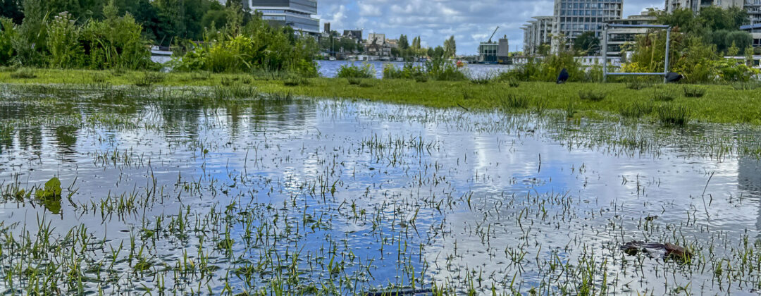 grasveld voor Waternet kantoor onder water Amsterdam Weerproof