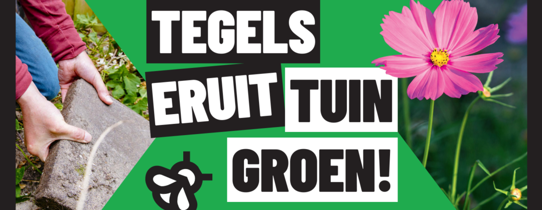 Tegelservice 2024 website banner concept