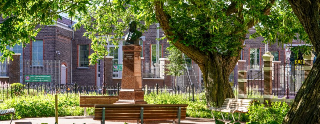 Bellamyplein park bankje klimaatadaptieve inrichting van de openbare ruimte