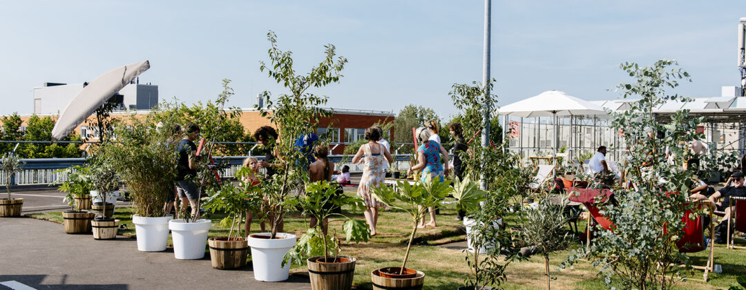 Roef dakpark Amsterdam