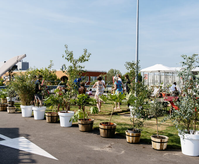 Roef dakpark Amsterdam
