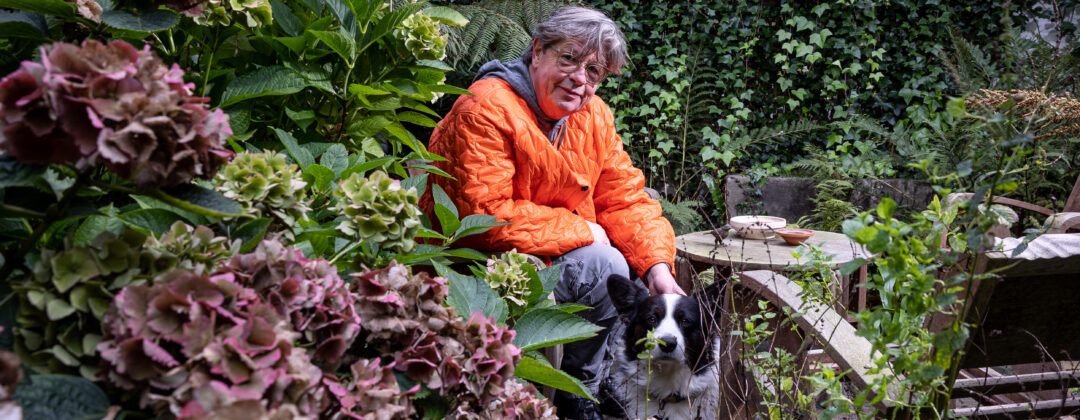 Harold tegelservice zuid