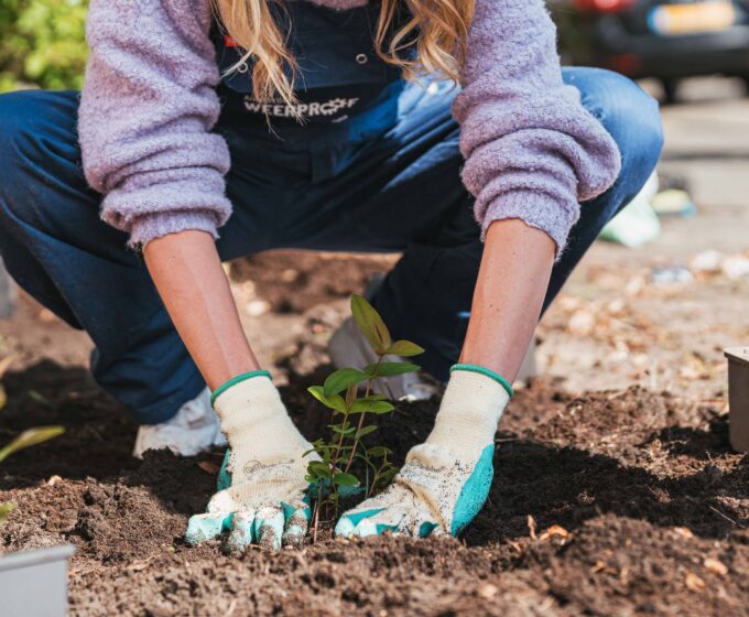 OBA Banne workshop klimaatvriendelijke tuin 17 september