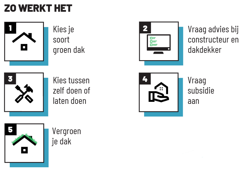 groen dak subsidie