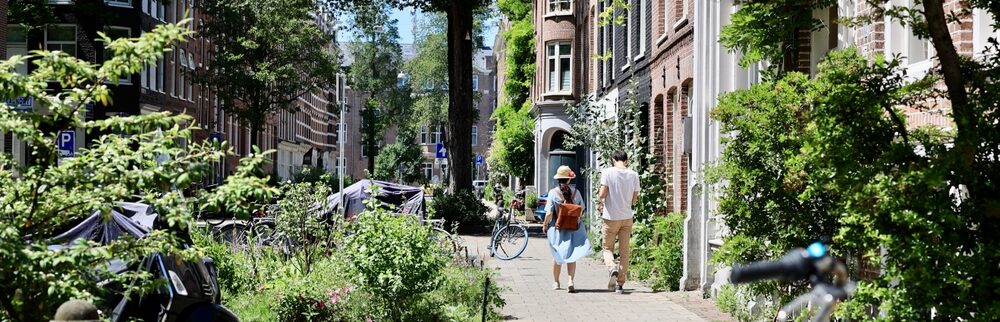 amsterdam klimaat