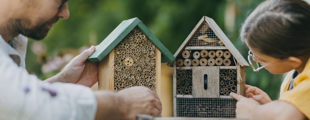 insectenhotel
