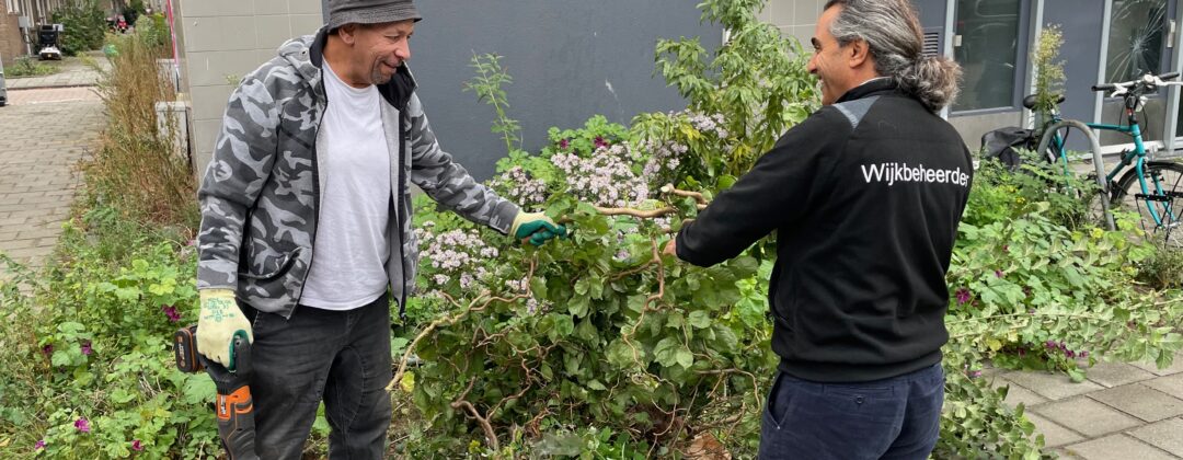 workshop samen buurt vergroenen