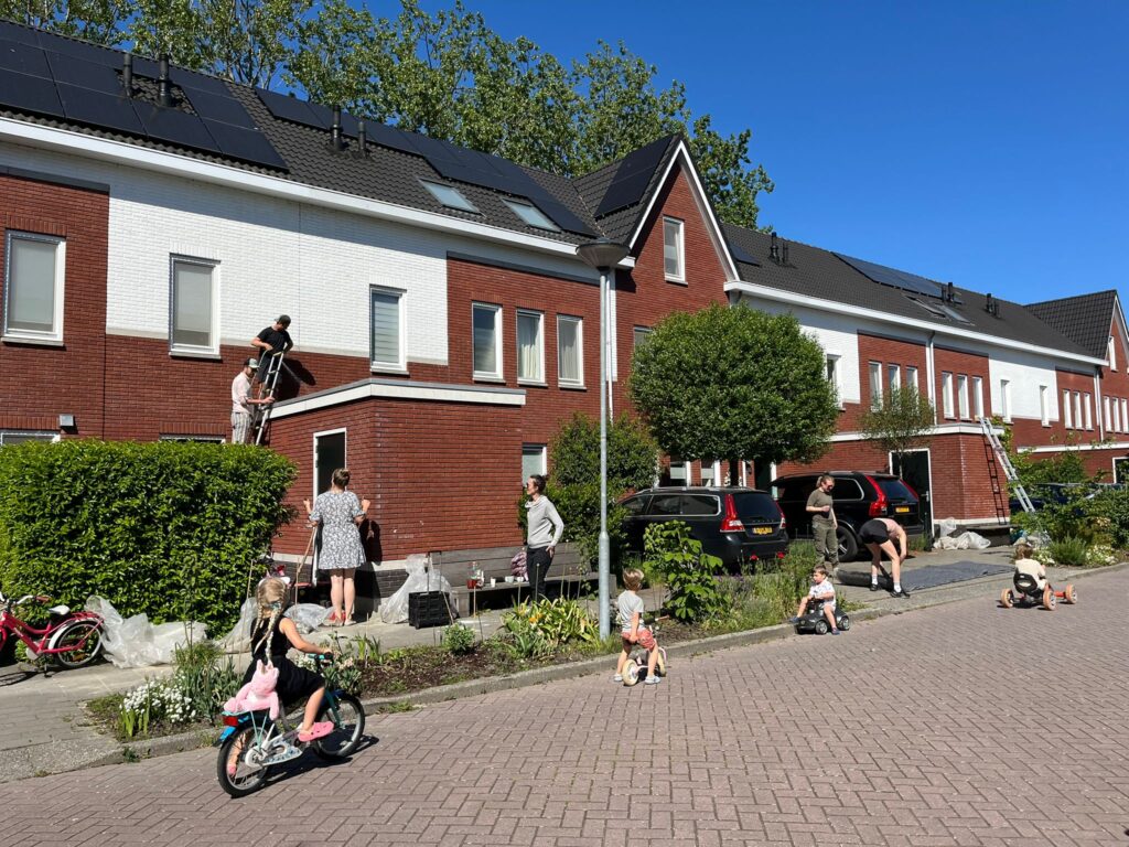 weesp groene daken actie