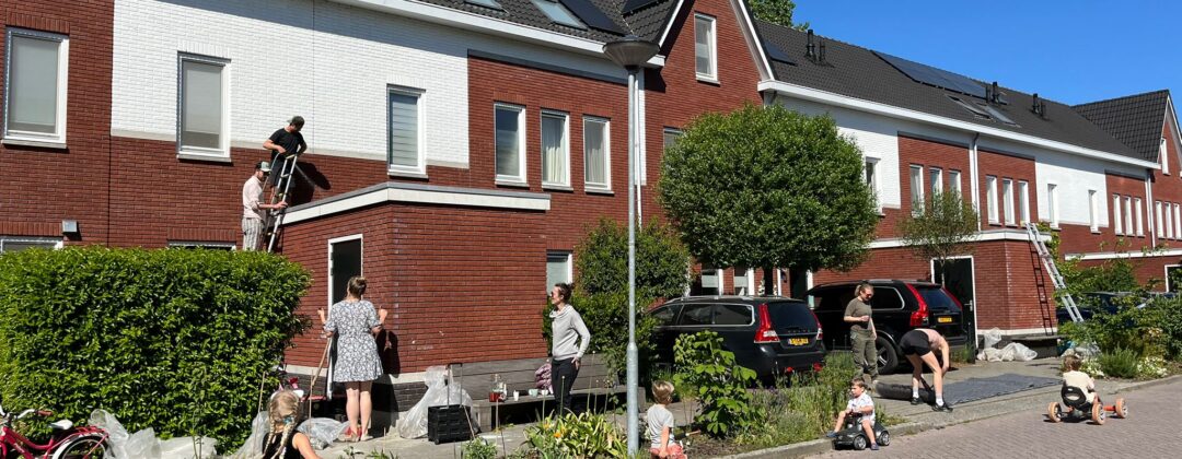 weesp groene daken actie