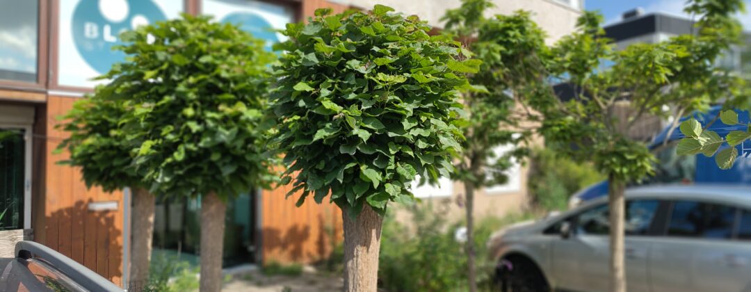 vergroenen bedrijventerrein