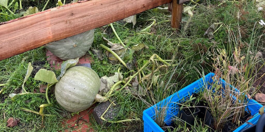 pompoem Piet Wiedijk