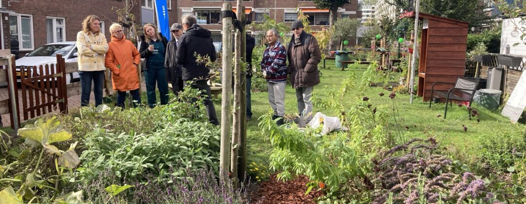 Buurtmoestuin Piet Wiedijkbuurt