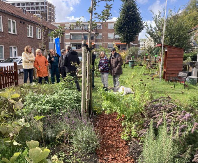 Buurtmoestuin Piet Wiedijkbuurt