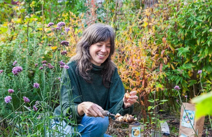 Liedewij-bloembollen-Wingerdweg2_720x720_crop_center.progressive