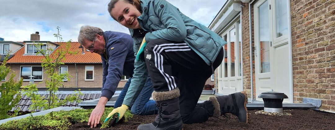 groen dak buitenveldert