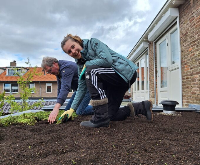 groen dak buitenveldert