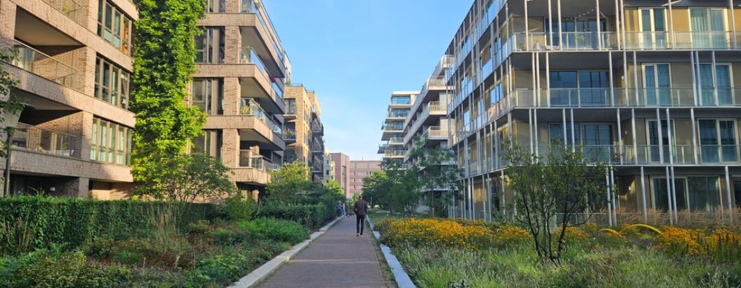 Amsterdam groen klimaat