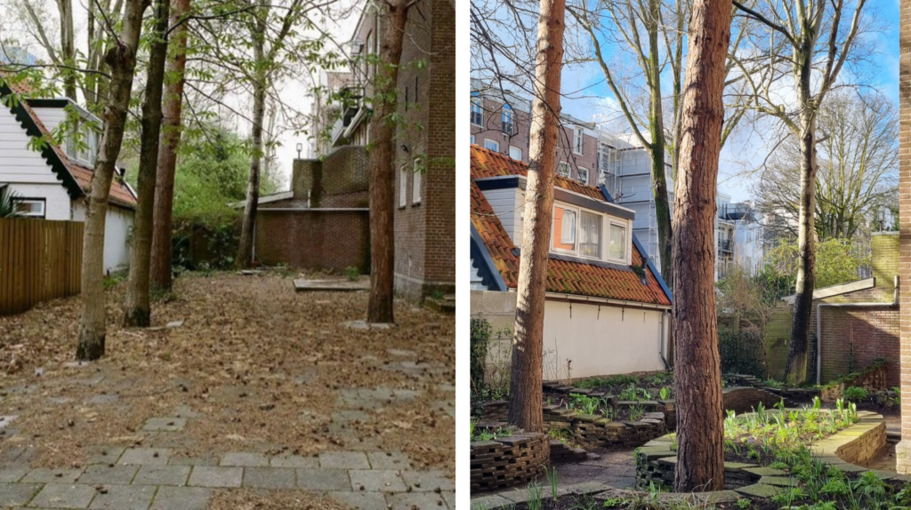 before after de pijp