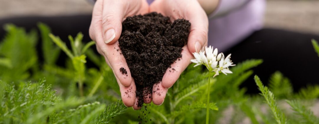 planten