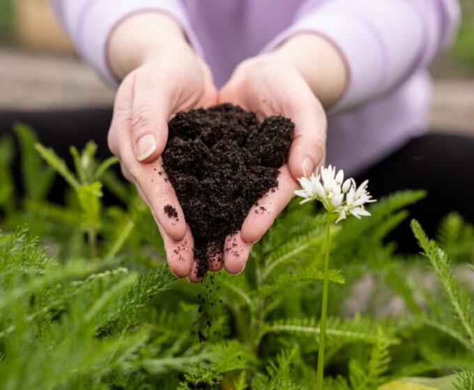 planten
