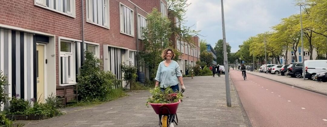 straatactie zuidoost